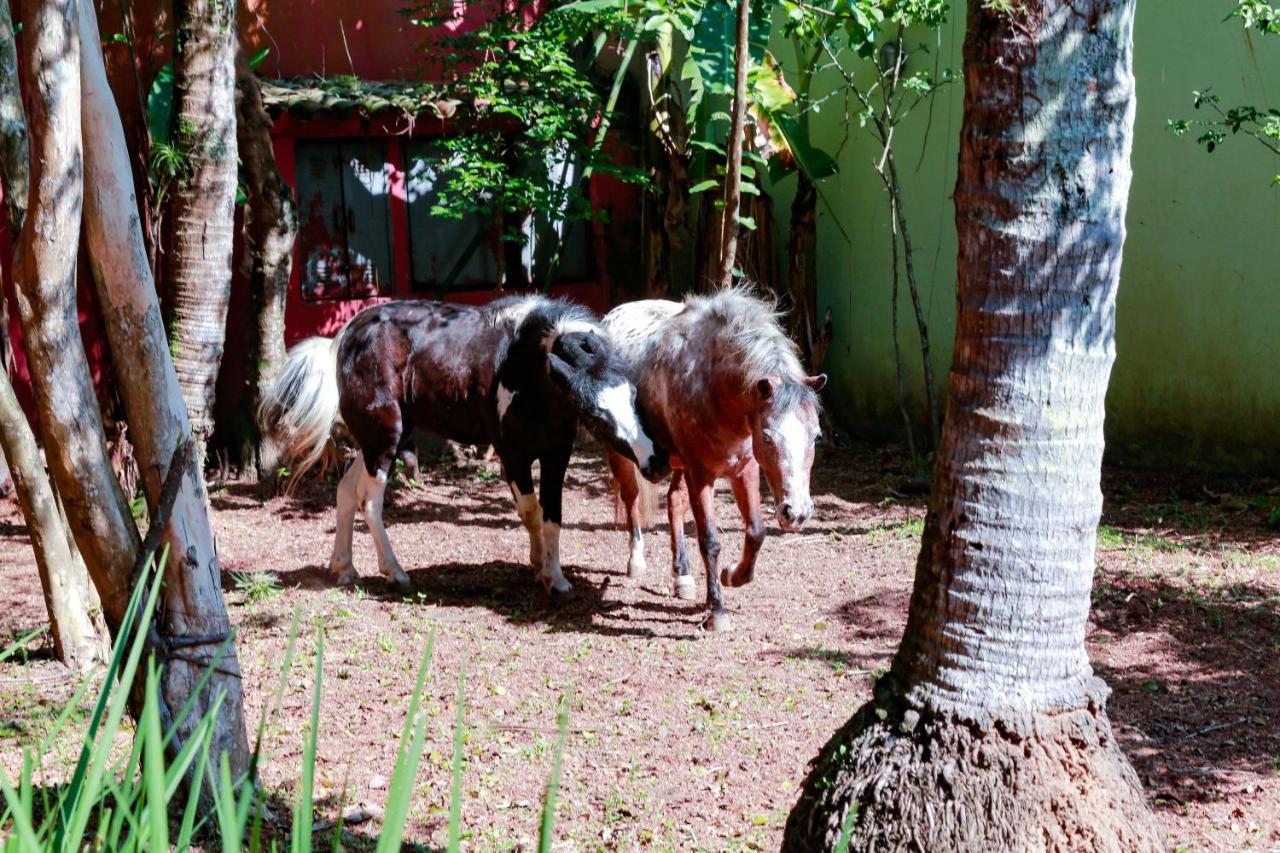 Indaia Praia Hotel Bertioga Luaran gambar